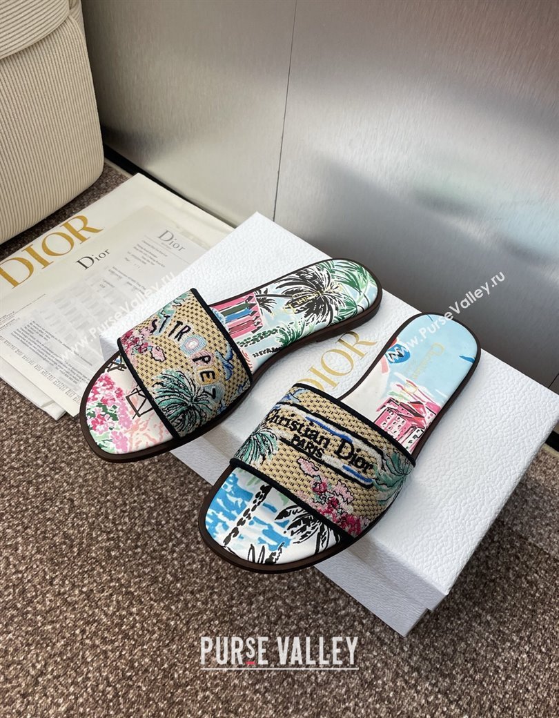 Dior Dway Flat Slides Sandal in Straw and Embroidered Cotton Light Blue 2025 DR082204 (JC-250822090)