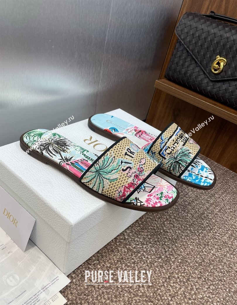 Dior Dway Flat Slides Sandal in Straw and Embroidered Cotton Light Blue 2025 DR082204 (JC-250822090)