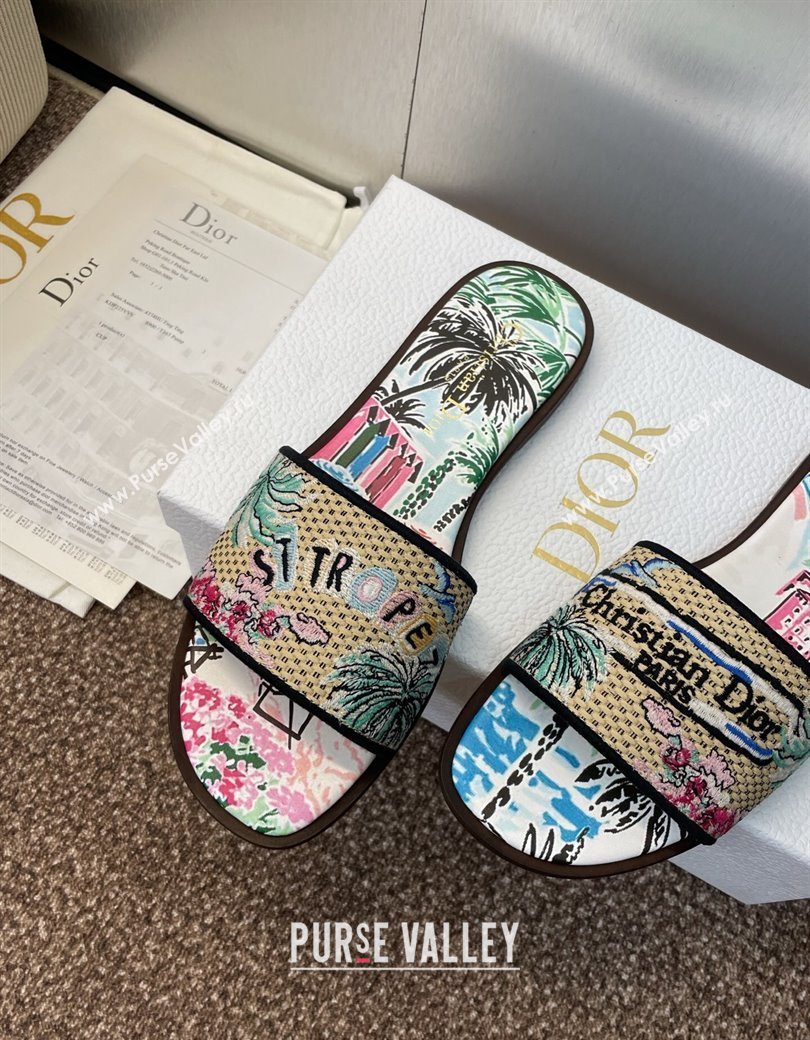 Dior Dway Flat Slides Sandal in Straw and Embroidered Cotton Light Blue 2025 DR082204 (JC-250822090)