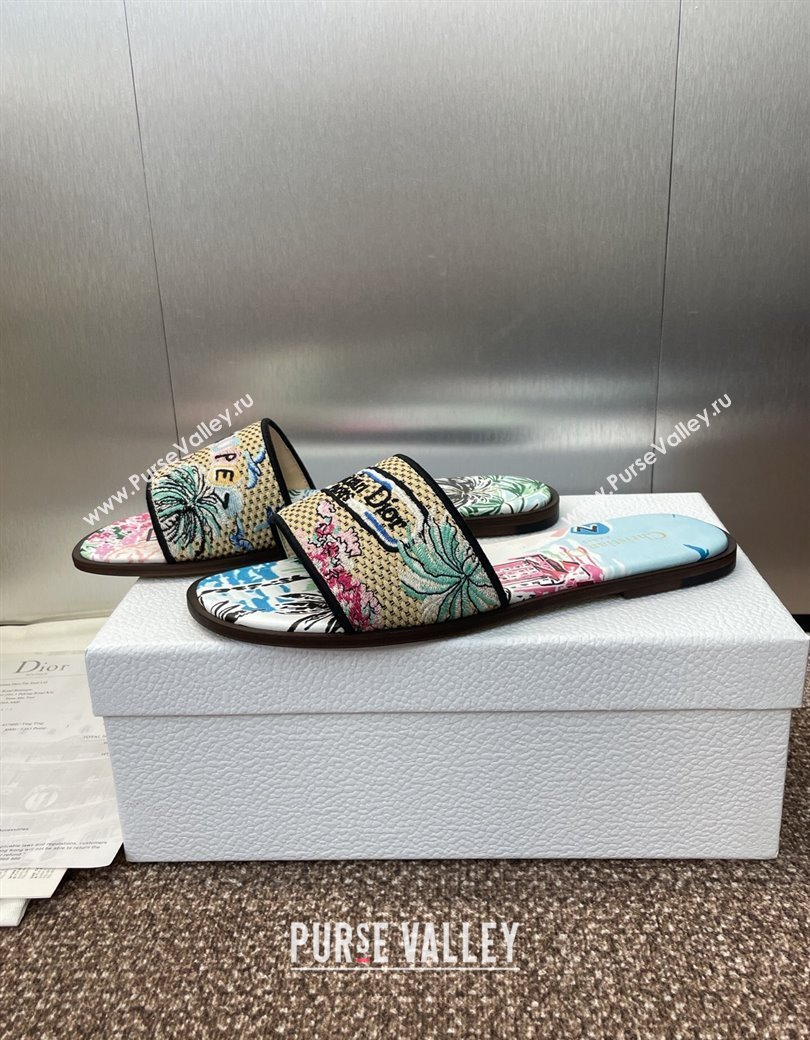 Dior Dway Flat Slides Sandal in Straw and Embroidered Cotton Light Blue 2025 DR082204 (JC-250822090)