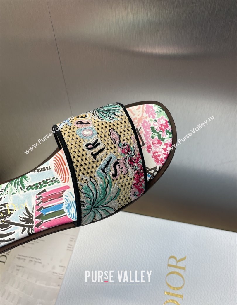 Dior Dway Flat Slides Sandal in Straw and Embroidered Cotton Light Blue 2025 DR082204 (JC-250822090)