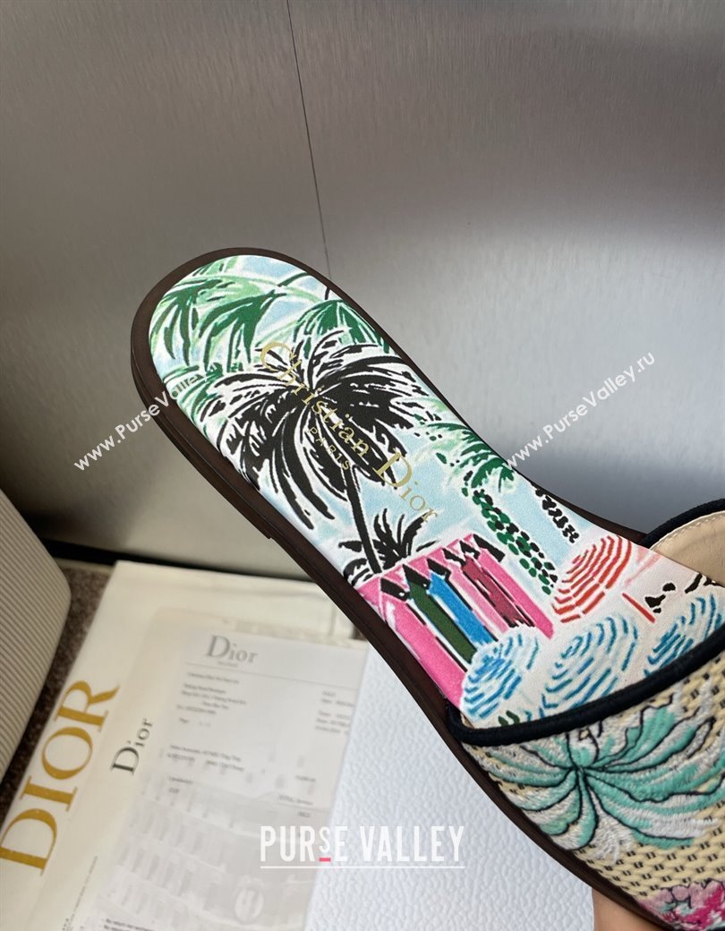Dior Dway Flat Slides Sandal in Straw and Embroidered Cotton Light Blue 2025 DR082204 (JC-250822090)
