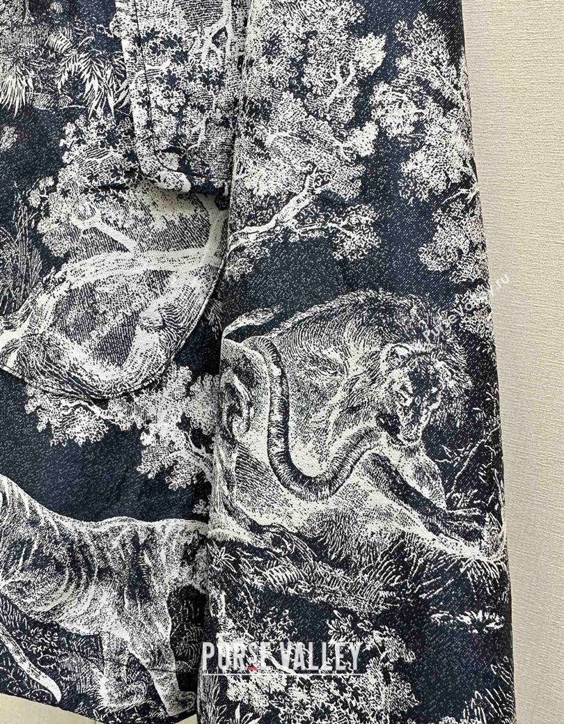 Dior Printed Oversized Jacket Blue/Blue 2025 DR090526 (QI-250905026)