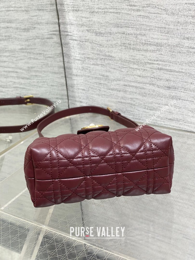 Dior Jolie Top Handle Mini Bag Burgundy 2025 S3123 (XXG-250929063)
