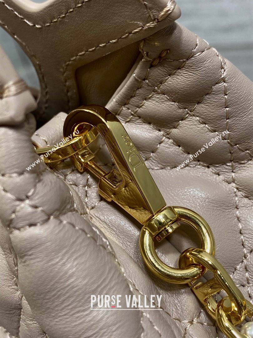 Dior Jolie Top Handle Mini Bag Powder Beige 2025 S3123 (XXG-250929064)