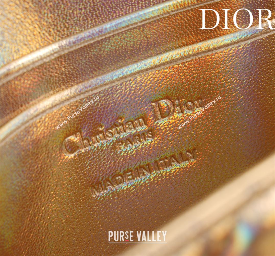 Dior My Dior - Dior Talk Phone Pouch in Cannage Iridescent Leather Gold 2025 (XXG-250929161)