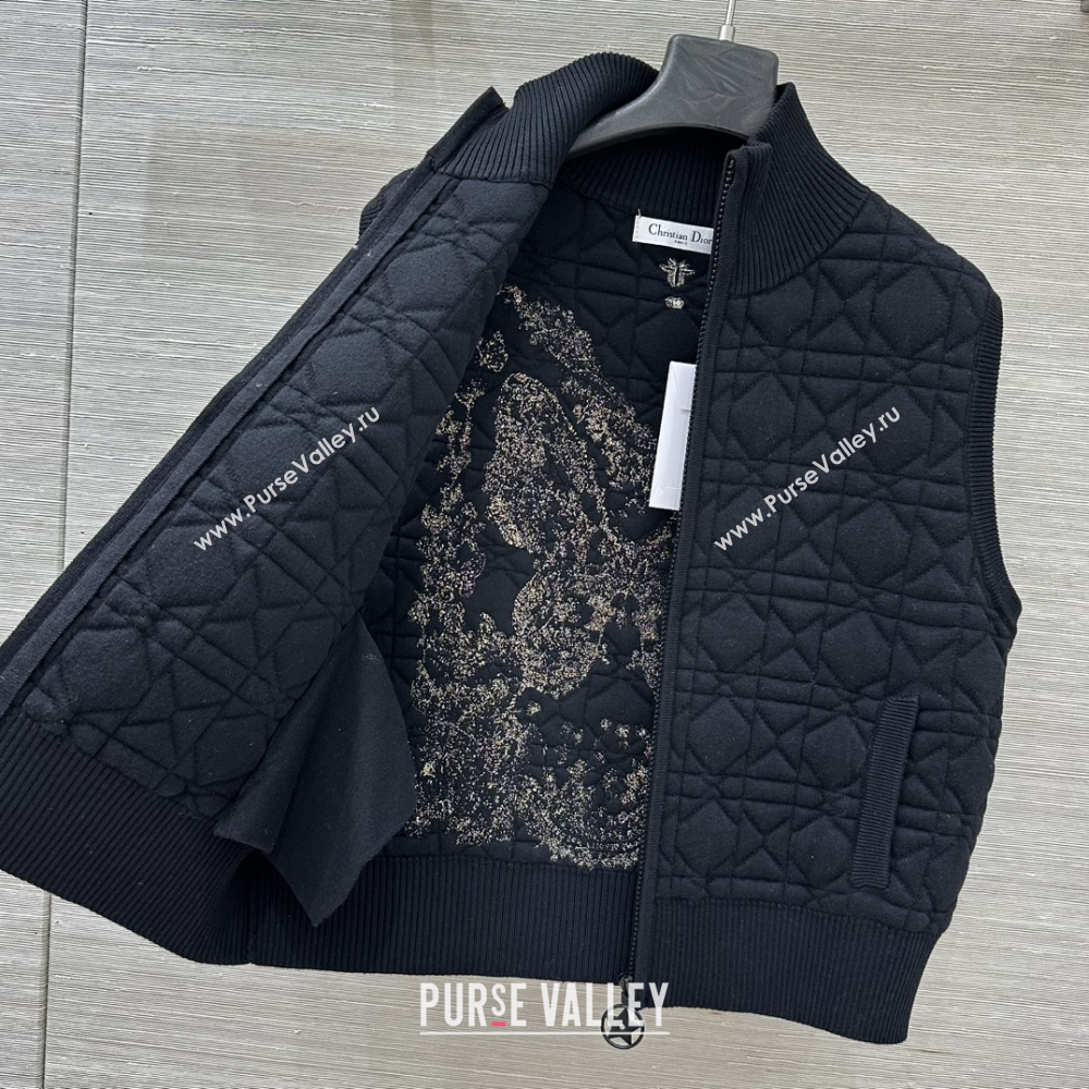 Dior Cannage Wool Silk Vest with Embroidery Black 2025 1014 (QI-251015119)