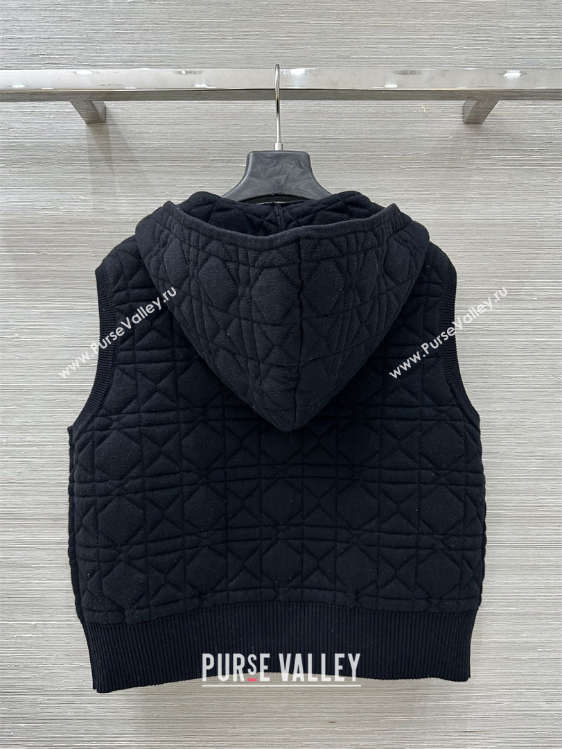 Dior Cannage Wool Silk Vest Black 2025 1015 (QI-251015113)