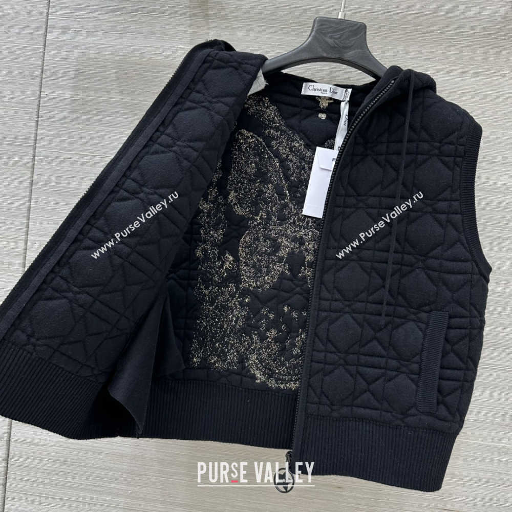 Dior Cannage Wool Hoodie Vest with Embroidery Black 2025 1014 (QI-251015121)