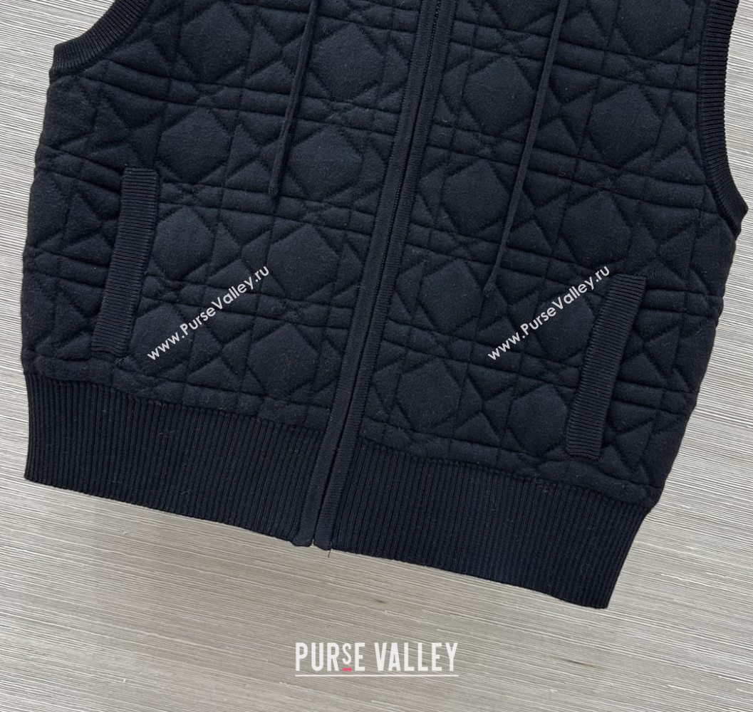 Dior Cannage Wool Hoodie Vest with Embroidery Black 2025 1014 (QI-251015121)
