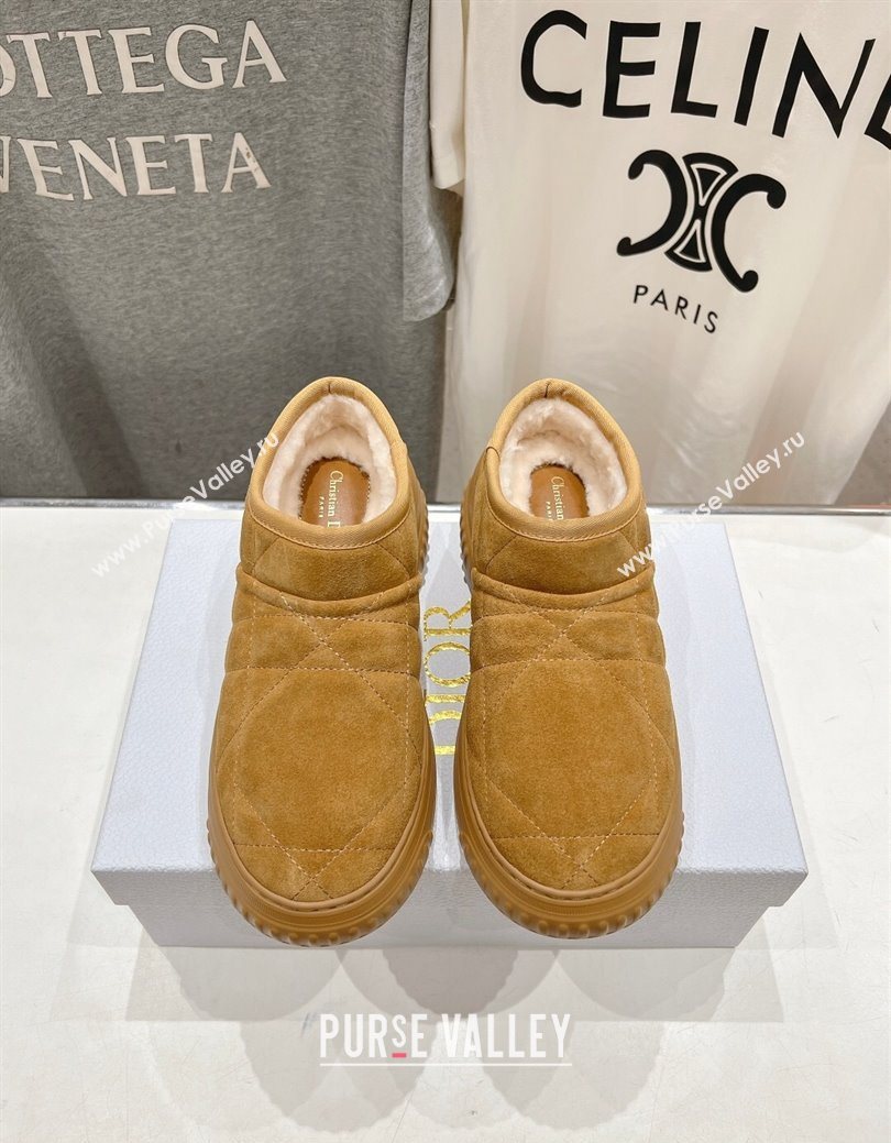 Dior Frost Low Ankle Boots in Cannage Suede and Wool Camel 2025 1029 (MD-251029007)