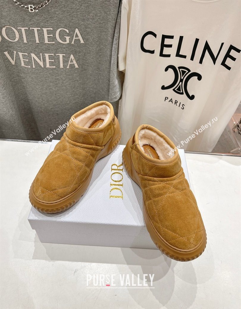Dior Frost Low Ankle Boots in Cannage Suede and Wool Camel 2025 1029 (MD-251029007)