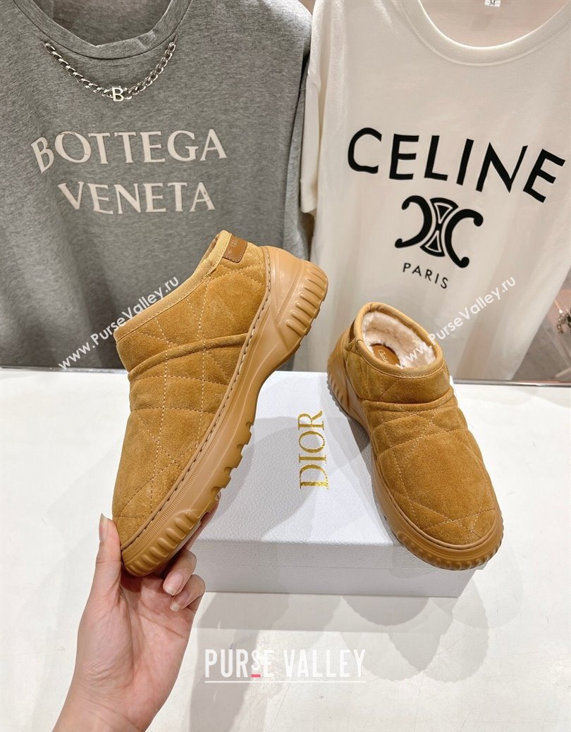 Dior Frost Low Ankle Boots in Cannage Suede and Wool Camel 2025 1029 (MD-251029007)