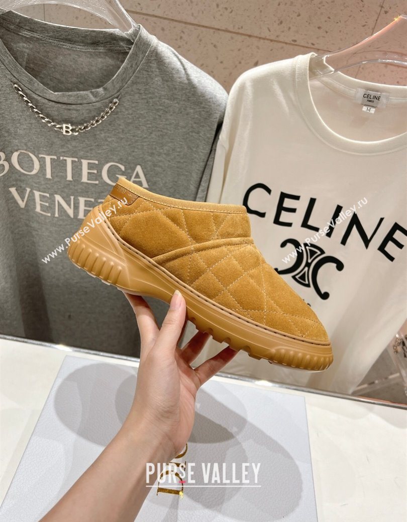 Dior Frost Low Ankle Boots in Cannage Suede and Wool Camel 2025 1029 (MD-251029007)