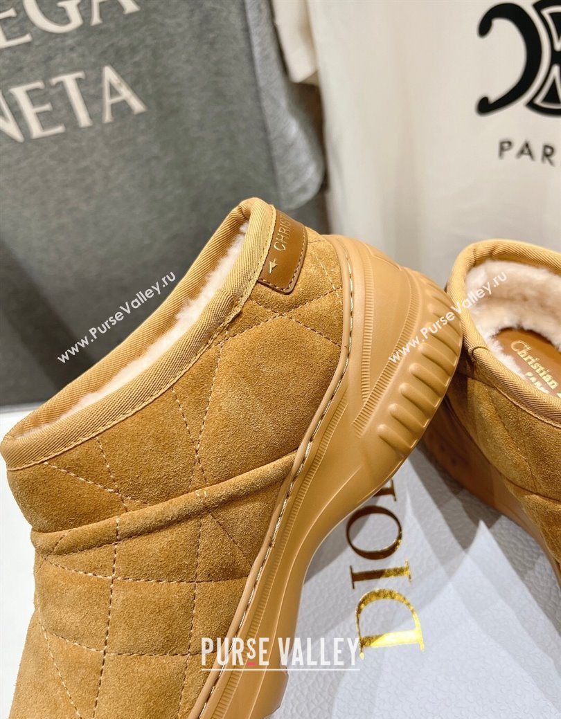 Dior Frost Low Ankle Boots in Cannage Suede and Wool Camel 2025 1029 (MD-251029007)