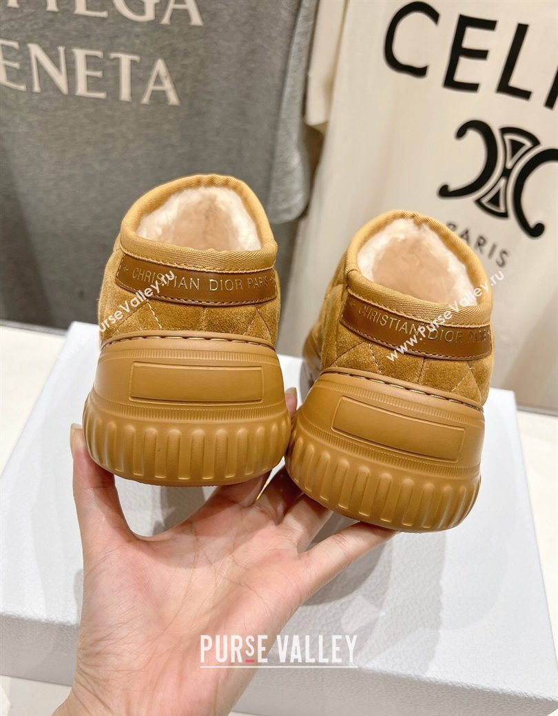 Dior Frost Low Ankle Boots in Cannage Suede and Wool Camel 2025 1029 (MD-251029007)