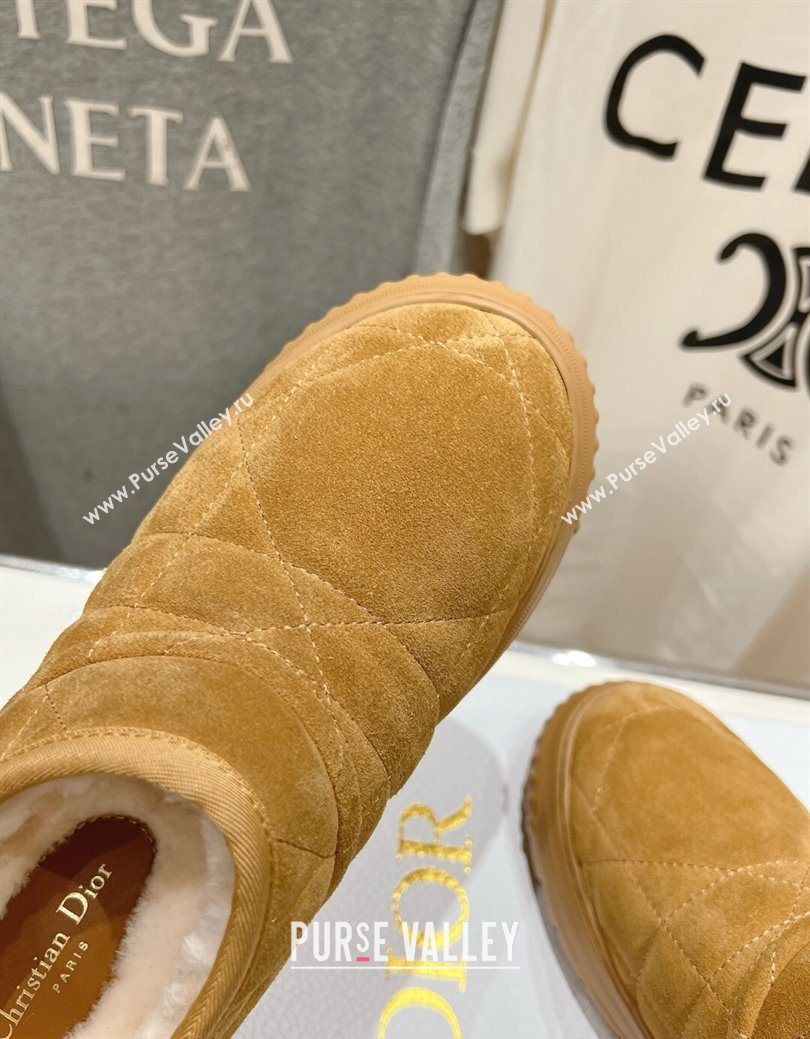 Dior Frost Low Ankle Boots in Cannage Suede and Wool Camel 2025 1029 (MD-251029007)