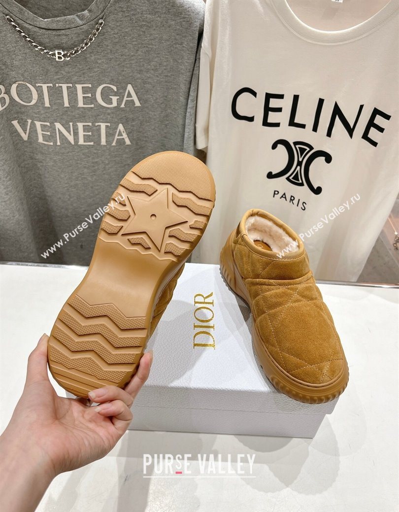 Dior Frost Low Ankle Boots in Cannage Suede and Wool Camel 2025 1029 (MD-251029007)