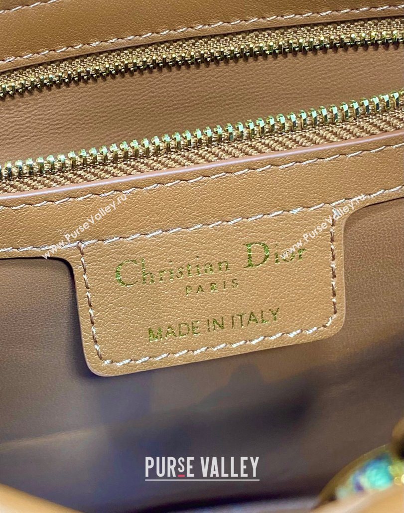 Dior Bow Top Handle Bag in Calfskin Leather Brown 2025 DR112201 (XXG-251122035)