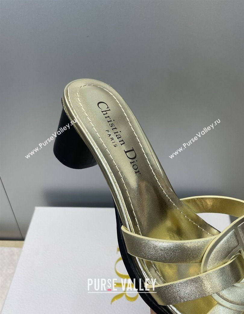 Dior D-Club Heeled Slides Sandal 6cm in Calfskin Leather Gold 2025 DR121701 (JC-251217011)