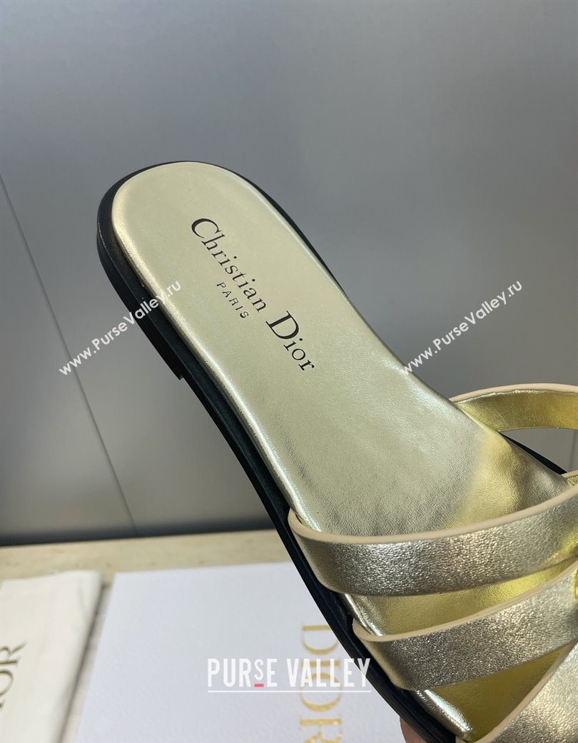 Dior 30M Flat Slides Sandal in Calfskin Leather with CD Pearl Gold 2025 (JC-251217027)