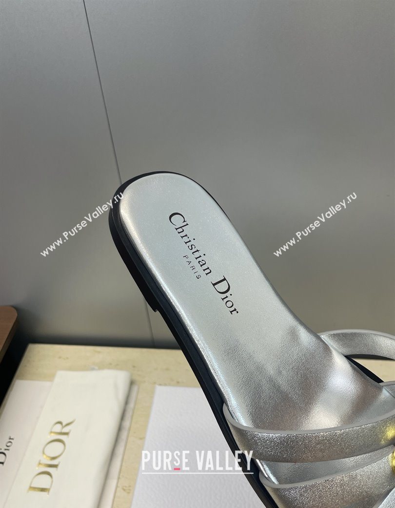 Dior 30M Flat Slides Sandal in Calfskin Leather with CD Pearl Silver 2025 (JC-251217030)