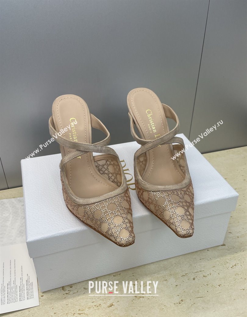 Dior Capture Heeled Mules 9.5cm in Mesh with Strass Cannage Motif Beige 2025 DR121606 (JC-251216115)