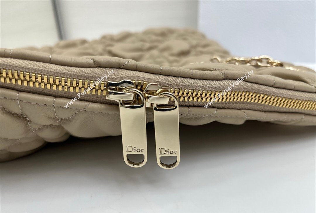 Dior Cannage - Quilted Leather Tote Bag Beige 2026 DR012601 (XXG-260126004)