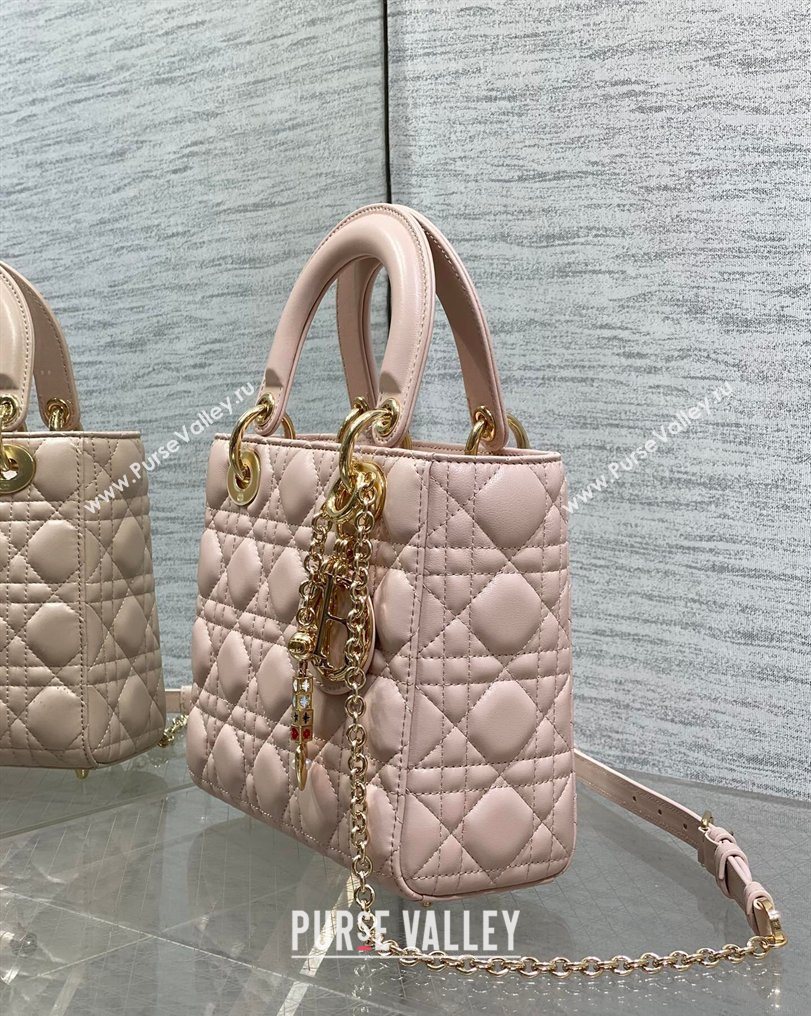 Dior Small Lady Dior My ABCDior Bag in Cannage Lambskin Leather Pink 2026 DR012602 (XXG-260126007)