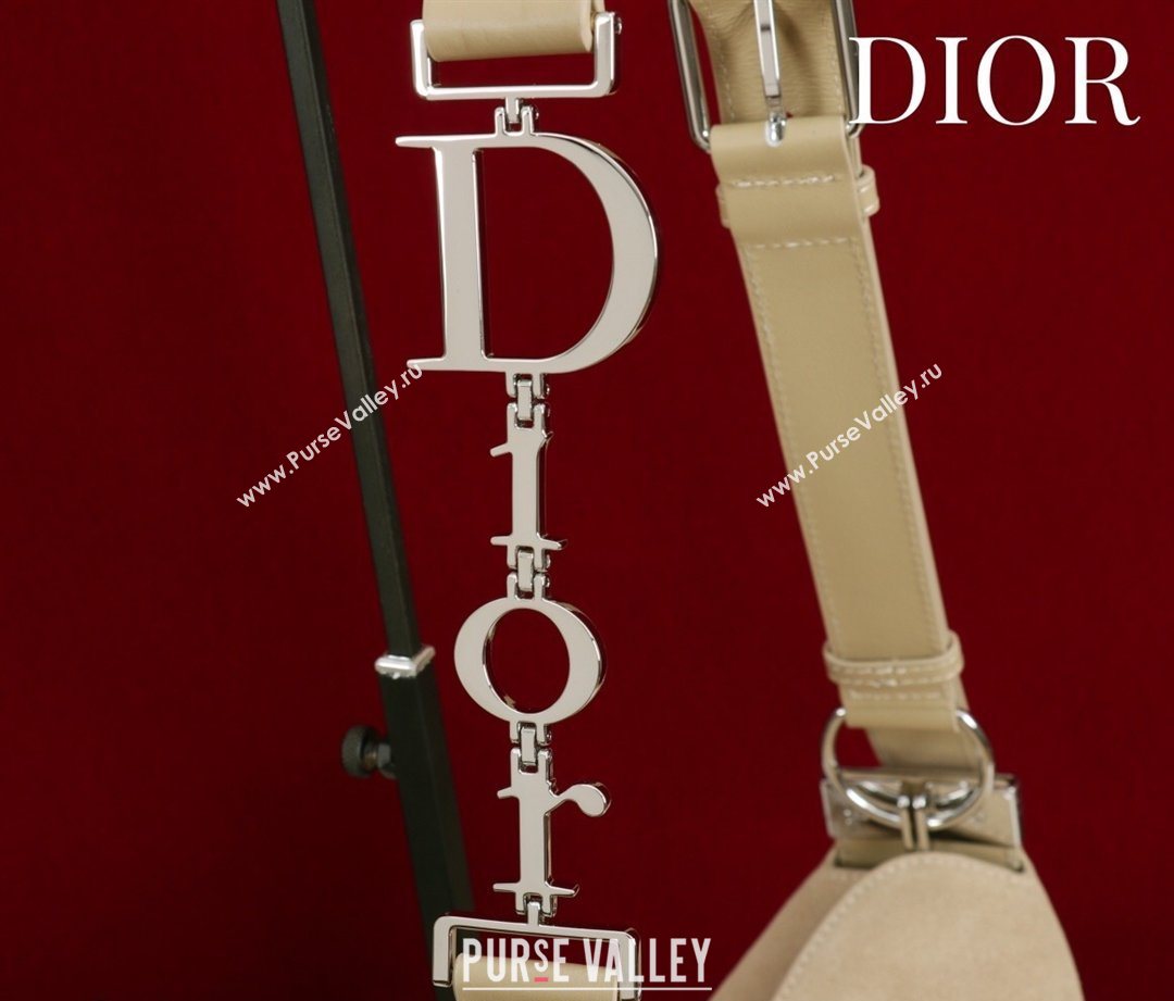 Dior Suede Small Shoulder Bag Beige/Silver 2026 S1411 (XXG-260124001)
