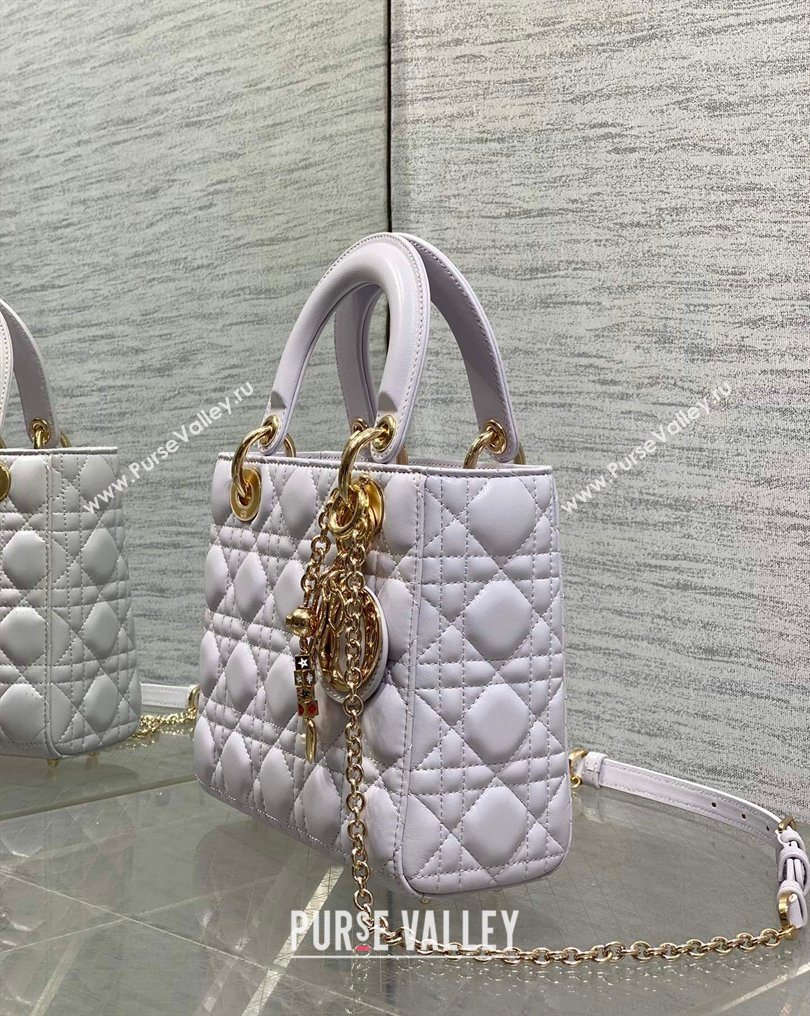 Dior Small Lady Dior My ABCDior Bag in Cannage Lambskin Leather Purple 2026 DR012602 (XXG-260126011)