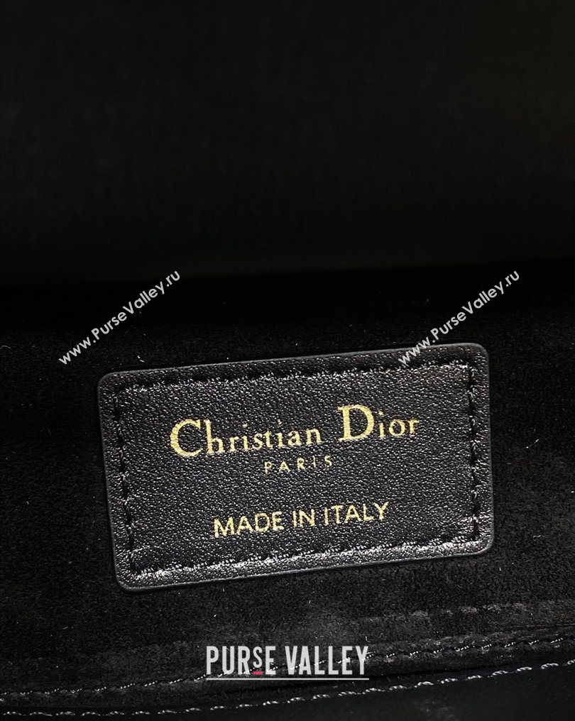 Dior Small Lady D-Joy Bag in Cannage Lambskin Leather with Openwork Charm Black 2026 DR012603 (XXG-260126016)
