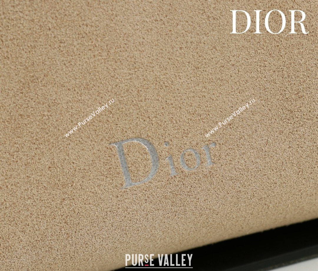 Dior Suede Small Shoulder Bag Beige/Silver 2026 S1411 (XXG-260124001)