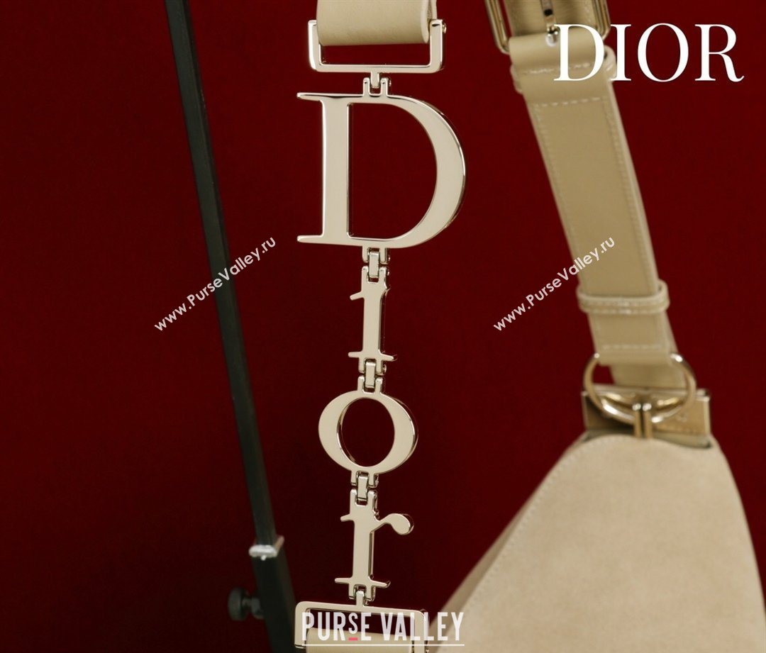 Dior Suede Large Shoulder Bag Beige/Gold 2026 L114144 (XXG-260124024)