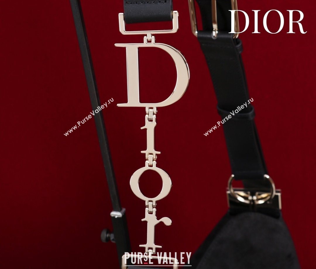 Dior Suede Large Shoulder Bag Black/Gold 2026 L114144 (XXG-260124025)