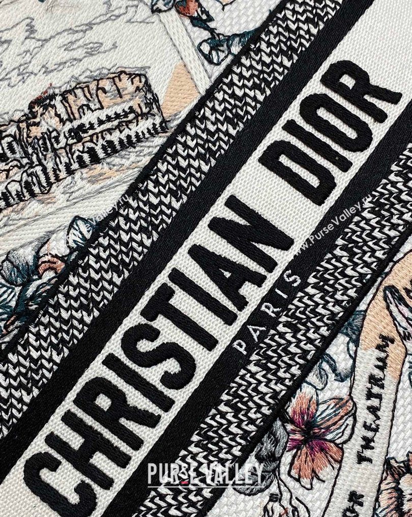 Dior Medium Lady D-Lite Bag in Pink Souvenir de Rome Embroidery 2026 0126 (XXG-260126064)