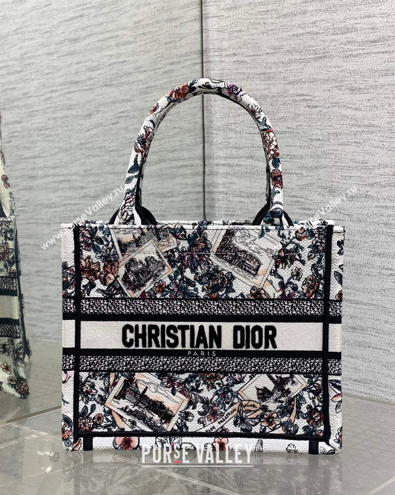 Dior Small Book Tote Bag in Pink Souvenir de Rome Embroidery 2026 0126 (XXG-260126075)