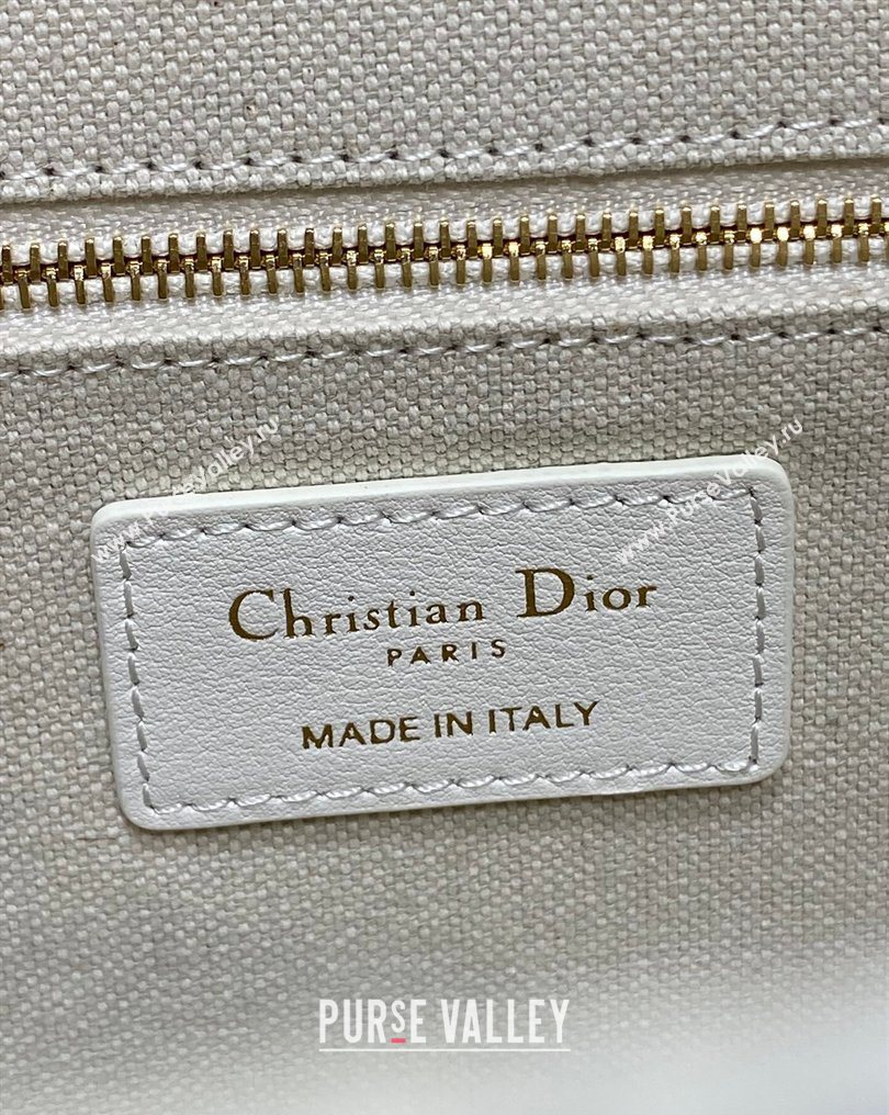 Dior Small Book Tote Bag in Multicolor Amour de Roses Embroidery and Latte White Calfskin 2026 0126 (XXG-260126085)