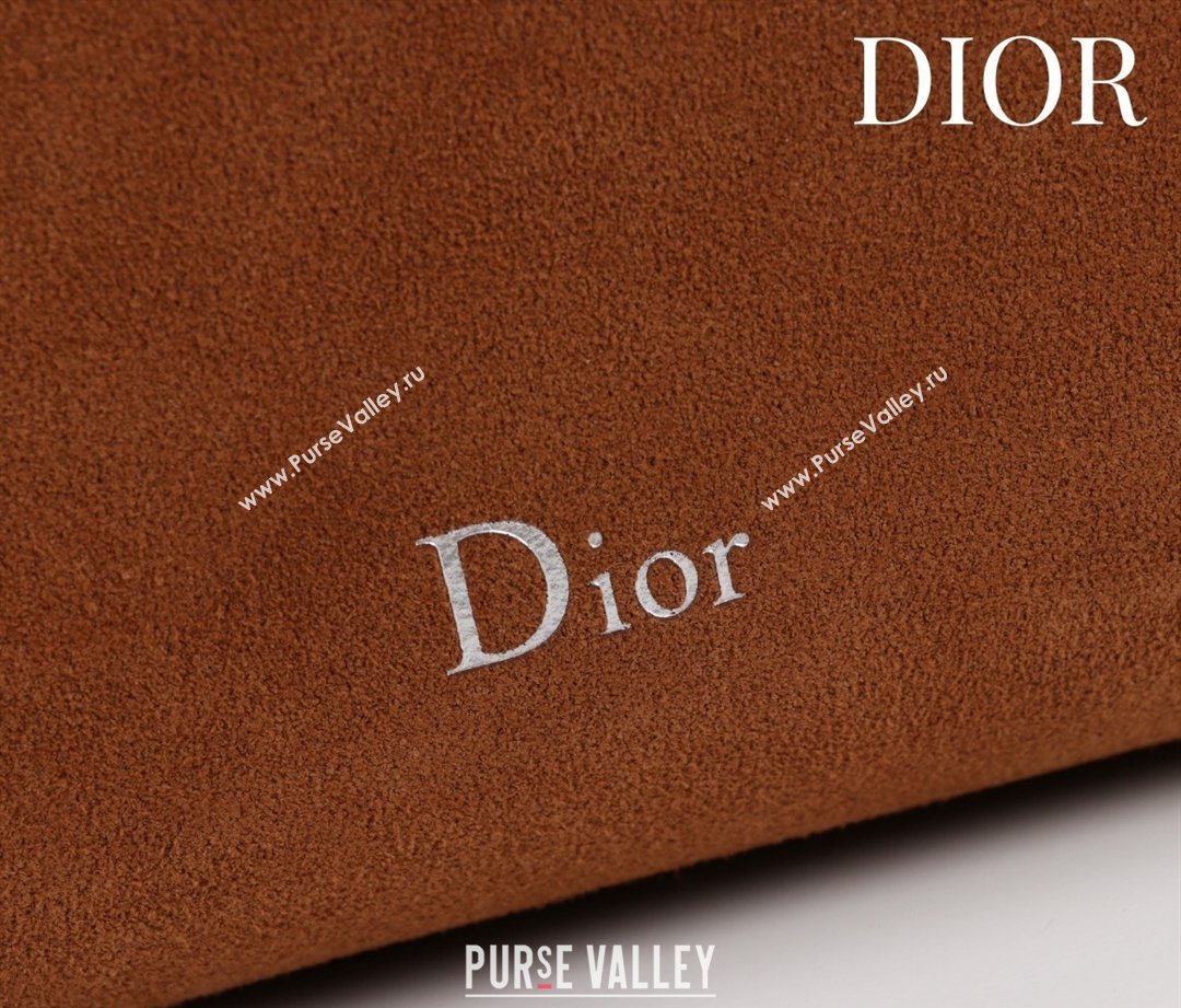 Dior Suede Large Shoulder Bag Caramel/Silver 2026 L114144 (XXG-260124028)