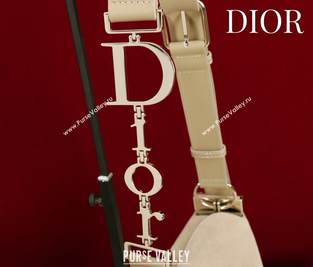 Dior Suede Small Shoulder Bag Beige/Gold 2026 S1411 (XXG-260124002)