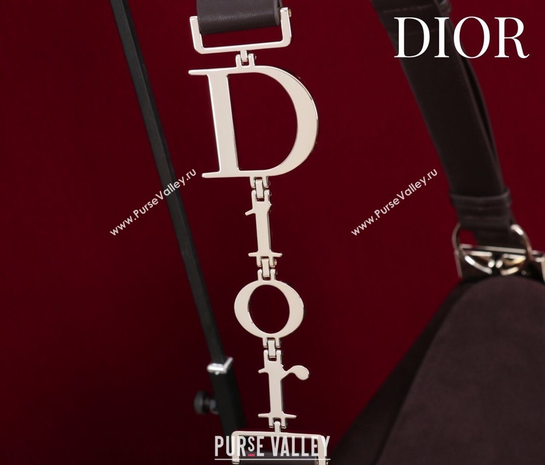 Dior Suede Large Shoulder Bag Dark Brown/Gold 2026 L114144 (XXG-260124029)
