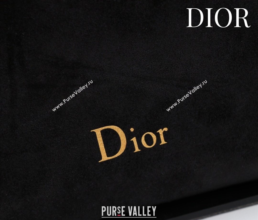 Dior Suede Small Shoulder Bag Black/Gold 2026 S1411 (XXG-260124003)