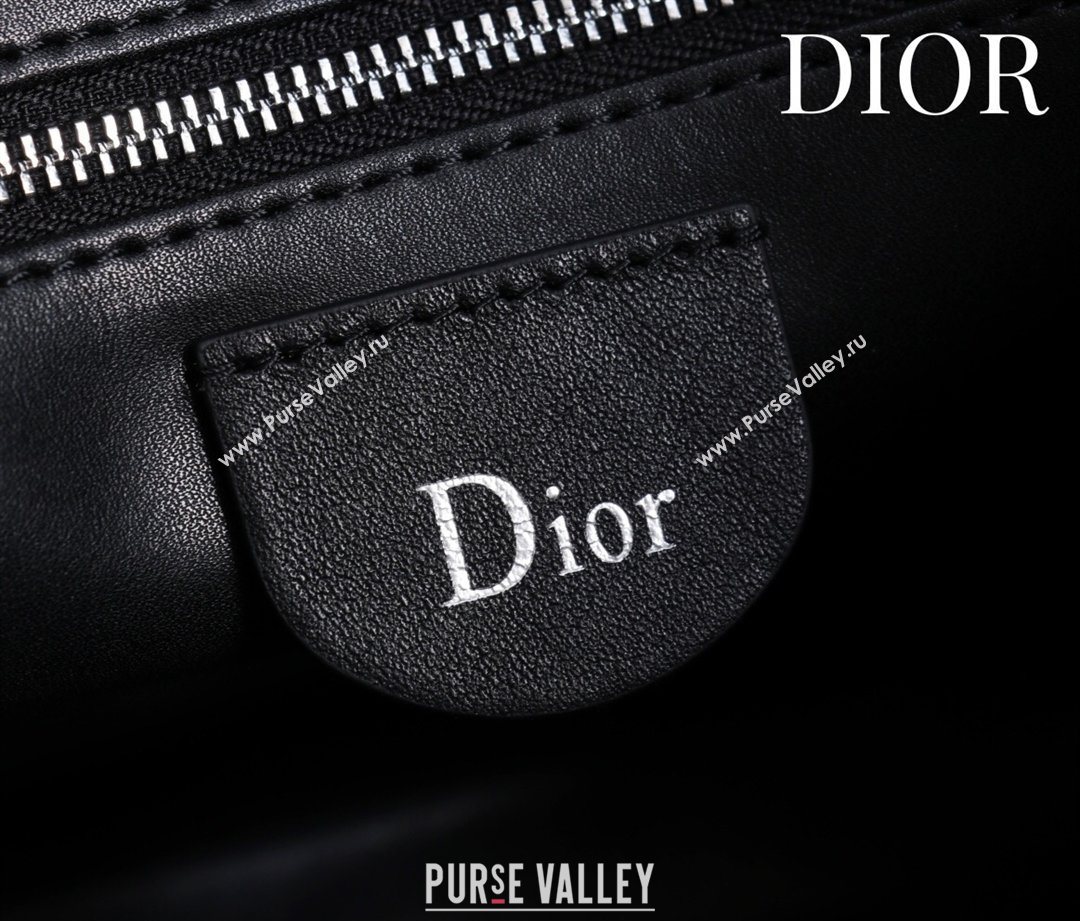 Dior Suede Small Shoulder Bag Black/Silver 2026 S1411 (XXG-260124004)