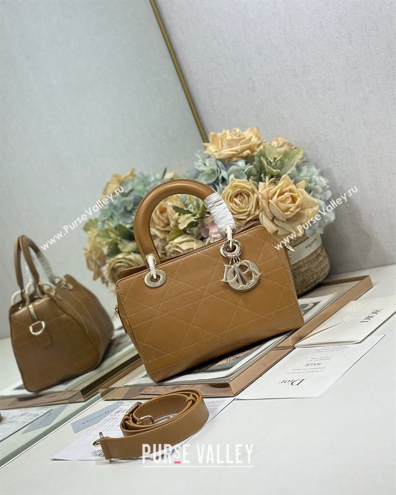 Dior Lady Dior Small Top Handle Bag in Cannage Smooth Leather Apricot 2026 1440S (BF-260124066)