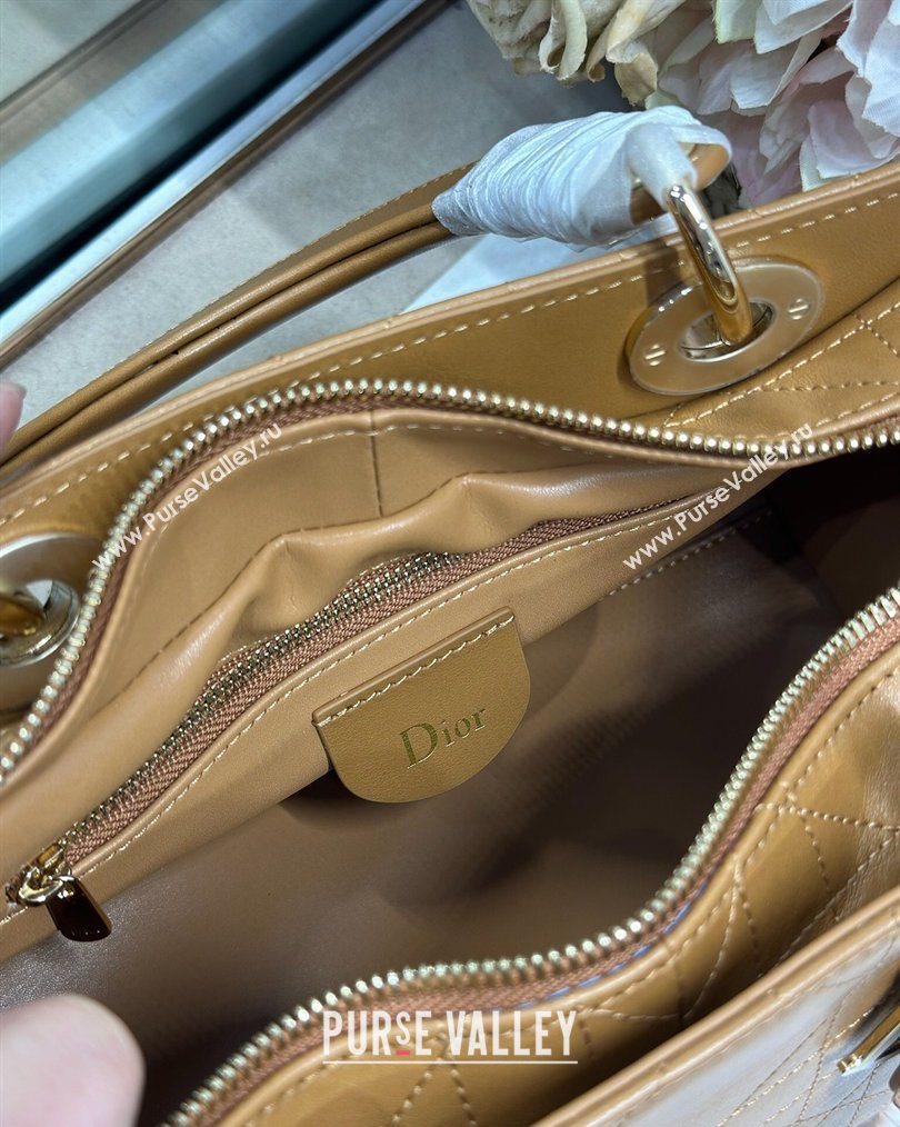 Dior Lady Dior Small Top Handle Bag in Cannage Smooth Leather Apricot 2026 1440S (BF-260124066)