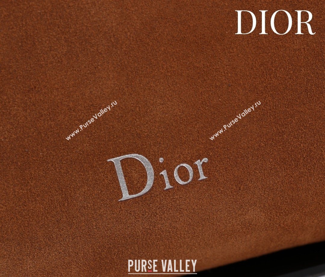 Dior Suede Small Shoulder Bag Caramel/Silver 2026 S1411 (XXG-260124006)