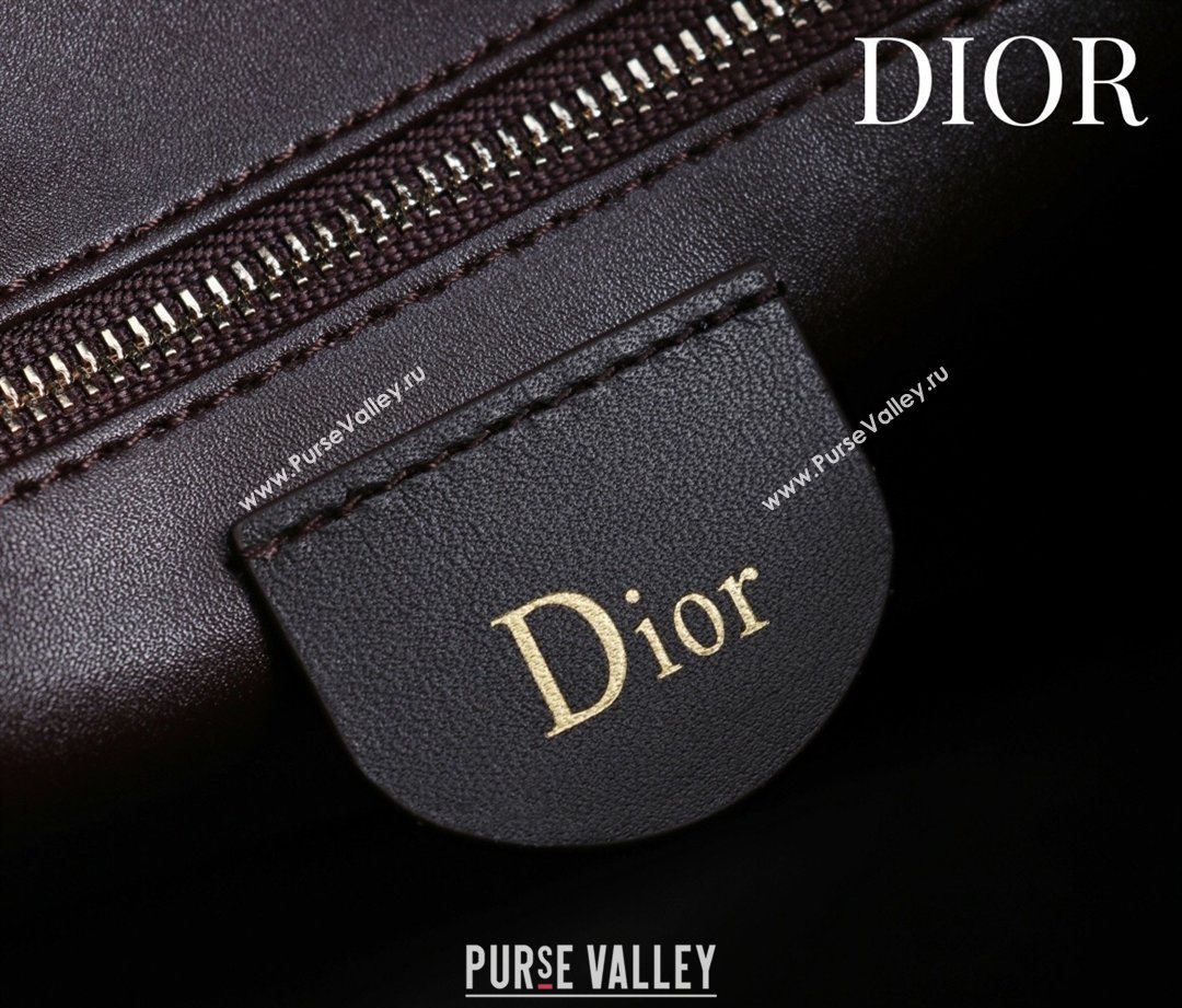 Dior Suede Small Shoulder Bag Dark Brown/Gold 2026 S1411 (XXG-260124007)