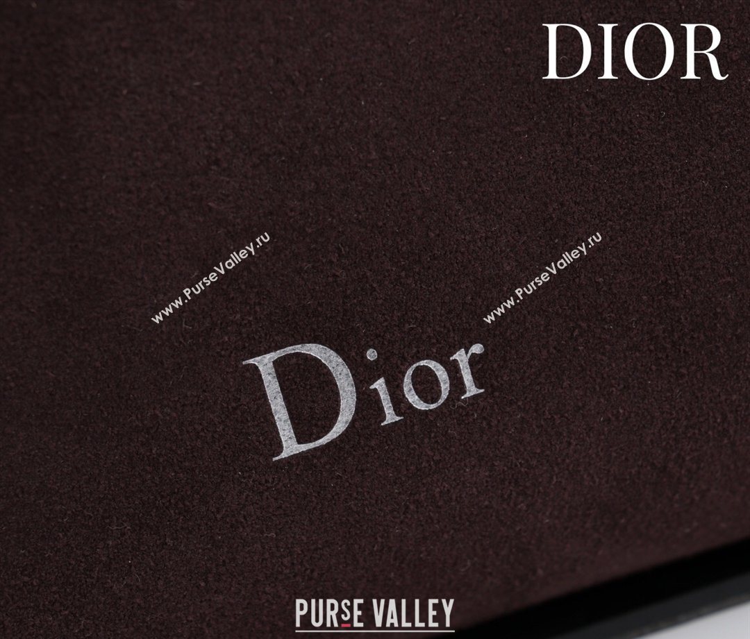 Dior Suede Small Shoulder Bag Dark Brown/Silver 2026 S1411 (XXG-260124008)