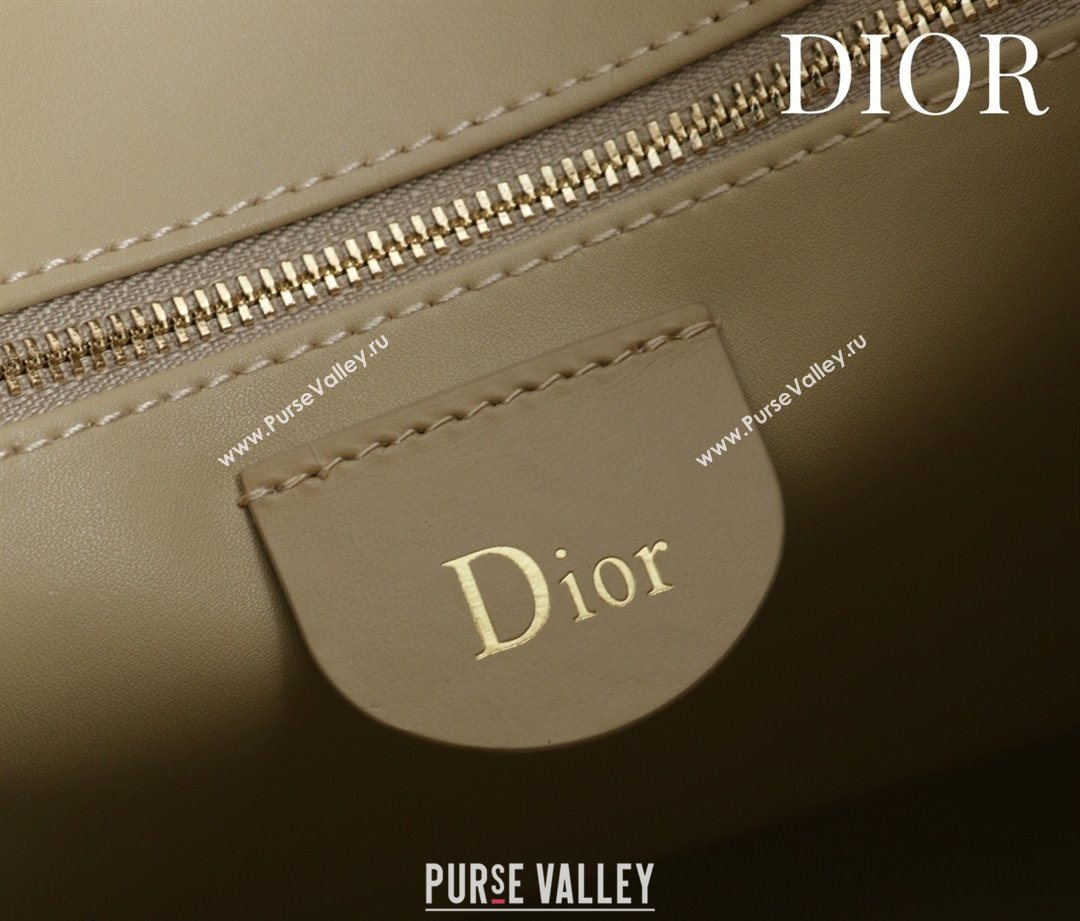 Dior Suede Medium Shoulder Bag Beige/Gold 2026 M14142 (XXG-260124010)