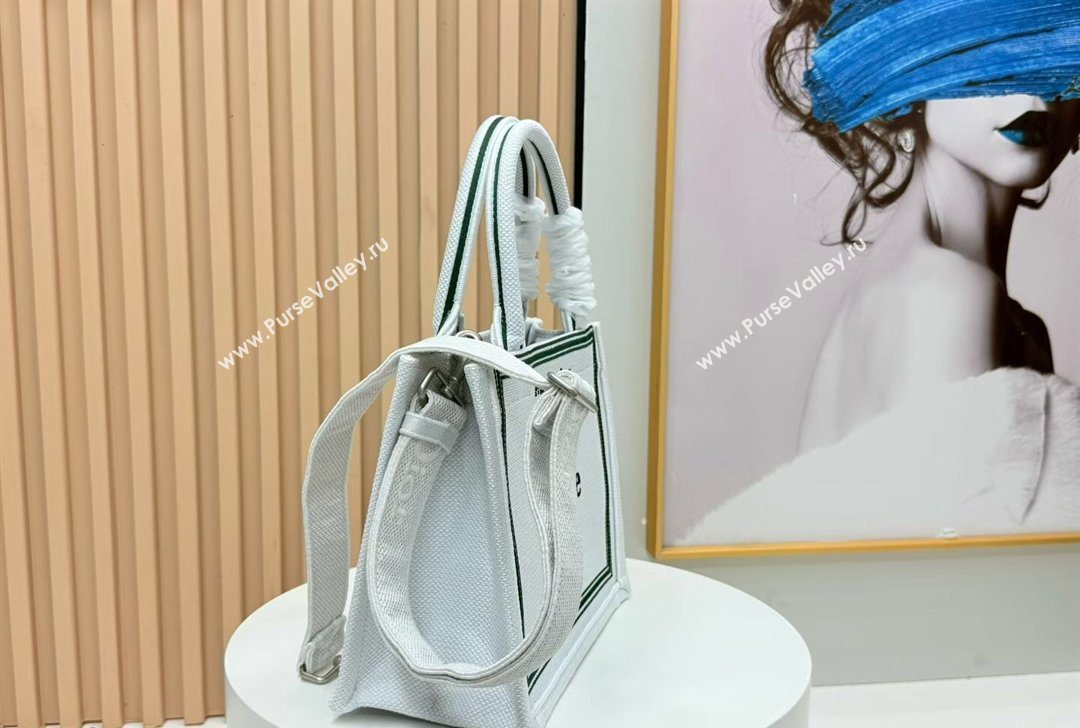 Dior Small Book Tote Bag in White Book Cover Embroidery 2026 8833 (BF-260127036)